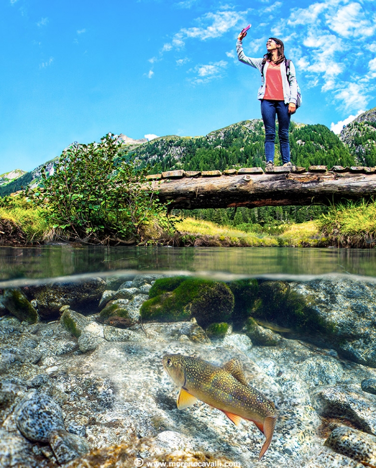 underwater photographer park adamello easy dive rivers alps dolomites underwater photo